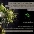 2023. április 11. Tavaszi csokrok a tavasz legszebb virágaiból, KÖVÉR KRISZTIÁN virágkötő mester workshopja – kezdő virágkötők részére